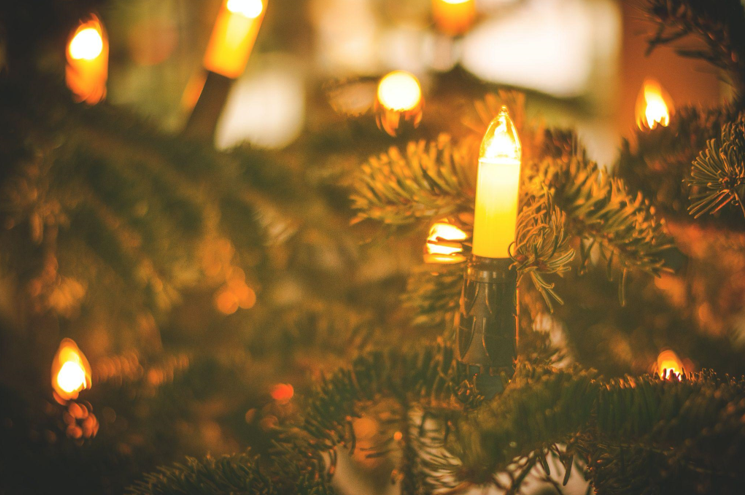 Financing Your Artificial Christmas Tree: Understanding Bank Loans and Interest Rates